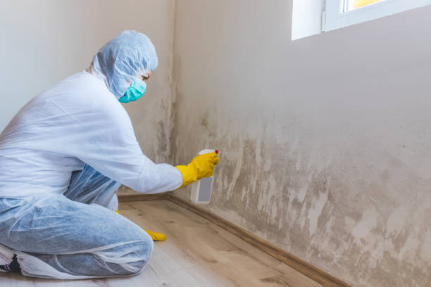 Commercial Mold Remediation assessment for commercial property in Bloomingdale